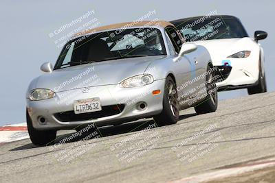 media/Mar-30-2025-Speed Ventures (Sun) [[39e6b1441d]]/Yellow/Session 2 (Grapevine)/